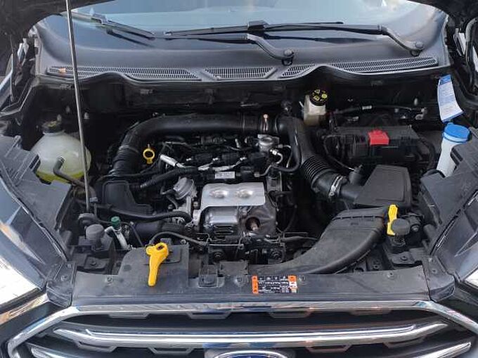 Ford ECOSPORT TITANIUM/LED/WINTERP./TECHIKP./F-ASSIS..P.